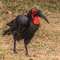 Lake Manyara NP